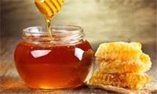 تولید سالانه 3 هزار و 800 تن عسل در لرستان