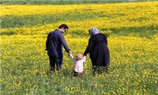نشاط و تعالی خانواده دورنمایی از رشد جمعیت