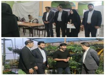 ارزیابی فعالیتهای تابستانی کانون امام علی شهرستان دورود