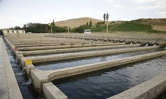 ایجاد مرکز پرورش ماهی خاویاری در رومشکان لرستان
