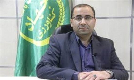 58 هزار هکتار از اراضی لرستان مجهز به سیستم نوین آبیاری هستند