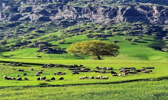 طبیعت سرسبز و چشم نواز مخمل‌کوه در منطقه سَرمَرخ + تصاویر