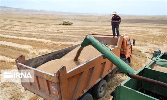 بیش از 15 هزار میلیارد ریال به حساب گندم کاران لرستانی واریز شد