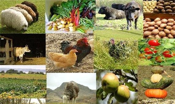 توصیه‌هایی به کشاورزان و دام‌داران لرستانی