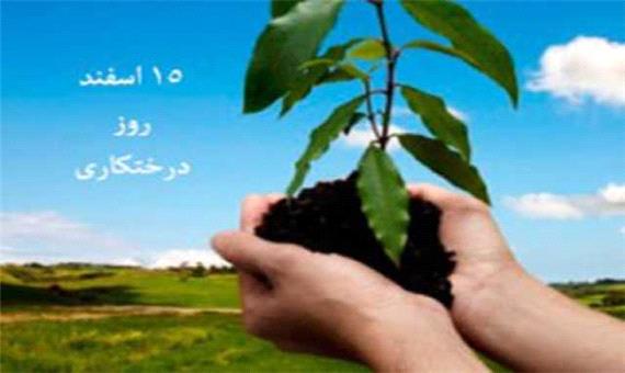 کاشت 30 میلیون درخت در لرستان