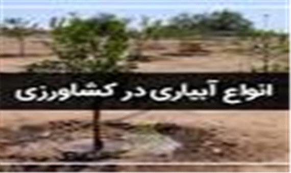 شبکه آبیاری 6هزار و 450 هکتار زمین کشاورزی در لرستان آماده بهره برداری است