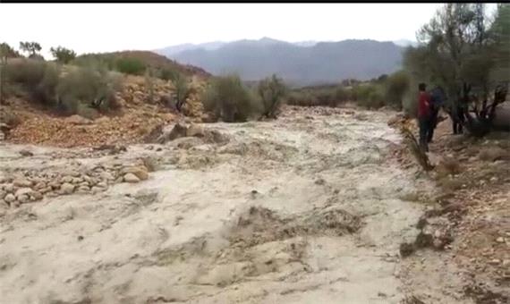 فرماندار فیروزآباد:بارش‌ها به بخش کشاورزی شهرستان زیان رساند