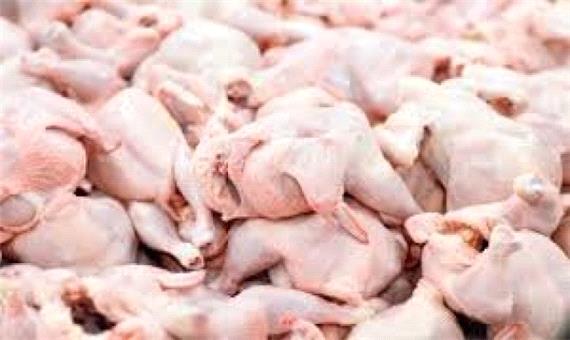 تولید 3 درصد مرغ کشور در لرستان