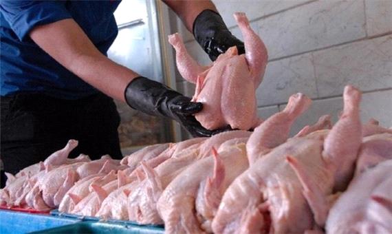 روزانه 150 تُن گوشت مرغ در لرستان تولید می شود