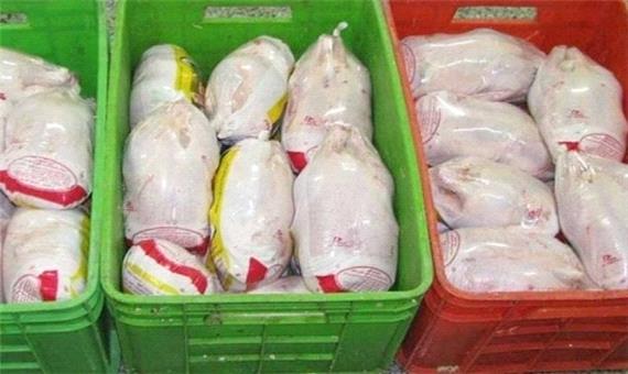 توزیع یک هزار تن گوشت مرغ منجمد در لرستان