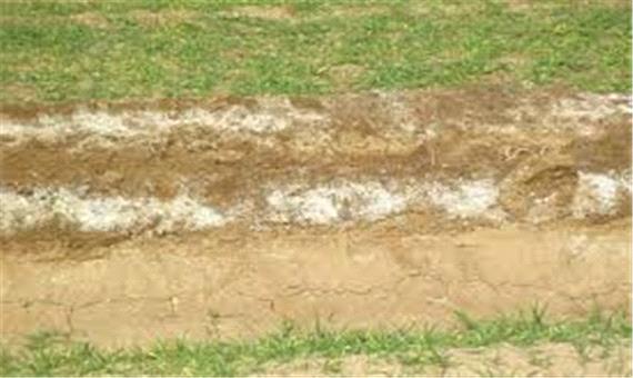 شوری خاک، عوامل موثر و روش‌های بهبود آن