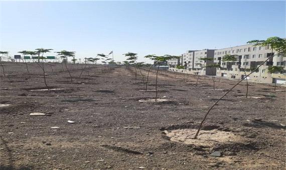 توسعه فضای سبز سه‌راه سیمان و خاورشهر در منطقه 15