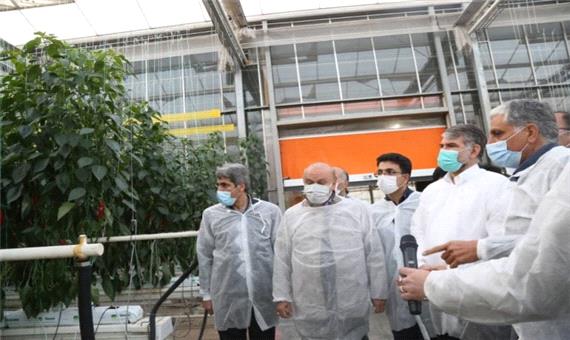 وزیر جهاد کشاورزی بر توسعه کشت قراردادی گیاهان دارویی در لرستان تاکید کرد
