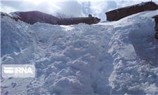 برق 300 روستایی الیگودرز بر اثر بارش برف قطع است