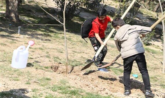 دادستان: فرهنگ درختکاری در شهرستان پلدختر نهادینه شود