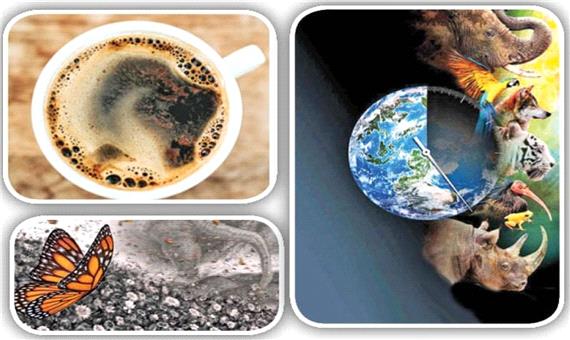 تأثیر عجیب مصرف قهوه روی انقراض جانوران