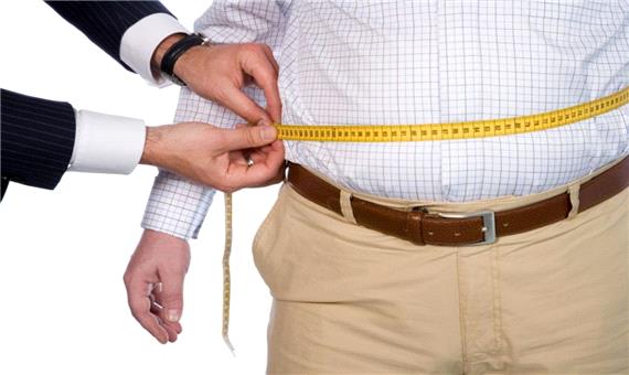 یافته های جدیدی در مورد اثرات ضد چاقی ویتامین E