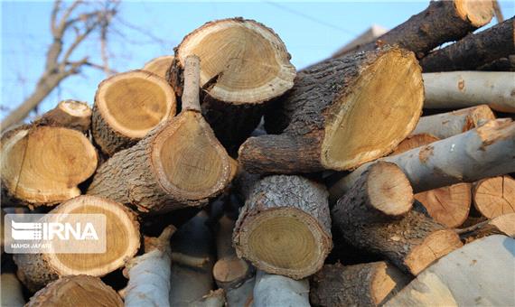 24 تن چوب قاچاق در بروجرد کشف شد