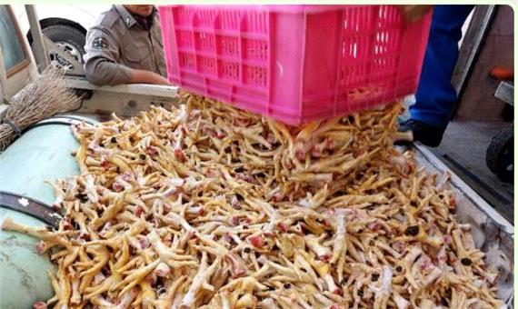 امسال 28 تن پای مرغ از لرستان صادر شد