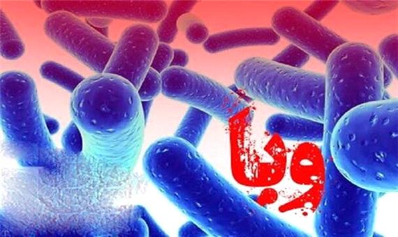 خطر بیماری «وبا» جدی است