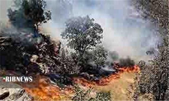 وقوع 6 مورد آتش‌سوزی در جنگل‌های لرستان
