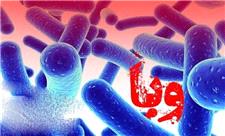 هشدار شیوع وبا در لرستان/ لزوم رعایت شیوه نامه‌های بهداشتی