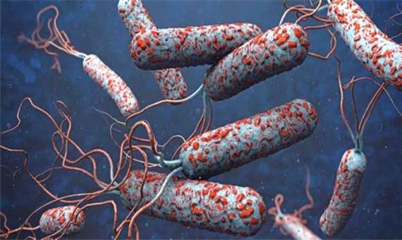 شیوع «وبا» در لرستان یک خطر جدی است/ توصیه‌های بهداشتی برای پیشگیری