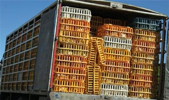 ارسال یک میلیون و 850 هزار قطعه مرغ از لرستان به استان‌های دیگر