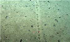 کشف حفره‌های مرموز و عجیب در کف اقیانوس اطلس!/ تصاویر
