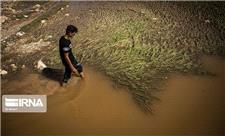 سیل مرداد بیش از 2 هزار میلیارد تومان به کشاورزی لرستان خسارت زد