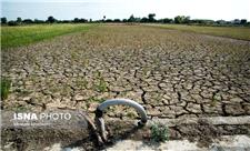 خسارت 850 میلیاردی خشکسالی به زمین‌های کشاورزی بروجرد