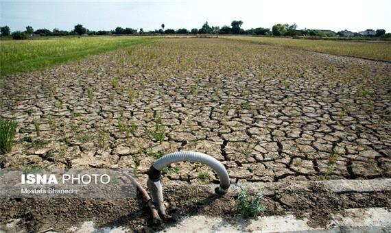خسارت 850 میلیاردی خشکسالی به زمین‌های کشاورزی بروجرد