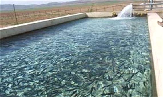 ایجاد زیرساخت تولید یک هزار تن ماهی خاویاری در لرستان