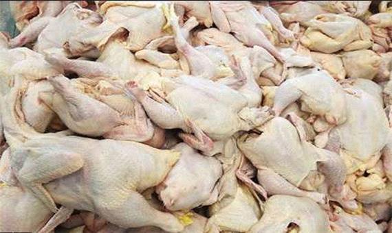 بیش از 3 تن گوشت مرغ غیر بهداشتی در دلفان کشف شد