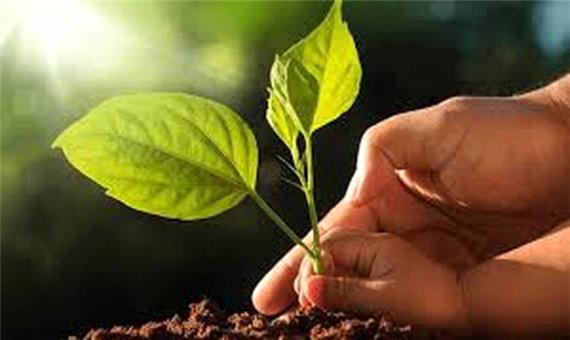لرستان جز پنج استان برتر در برگزاری روز جهانی خاک