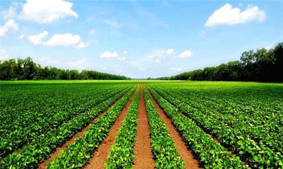 200هزار هکتار از اراضی کشاورزی لرستان تحت پوشش بیمه قرار می‌گیرند