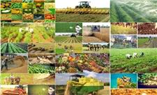 افتتاح 117 پروژه کشاورزی لرستان و ایجاد 498 فرصت شغلی جدید