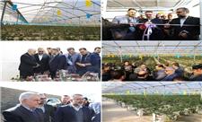 افتتاح دو واحد گلخانه هیدروپونیک تولید گل در خرم‌آباد