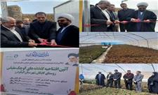افتتاح 41 گلخانه در الیگودرز توسط ستاد اجرایی فرمان امام(ره) لرستان