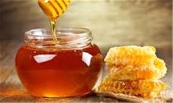 تولید سالانه 3 هزار و 800 تن عسل در لرستان