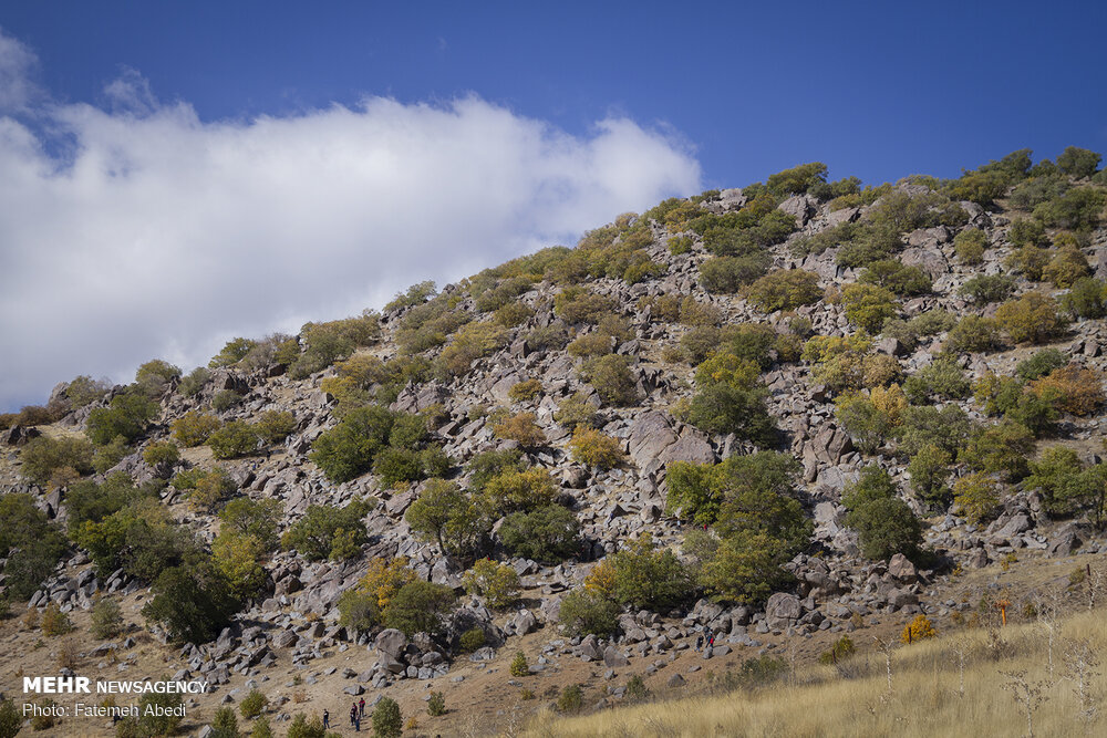 ندای لرستان