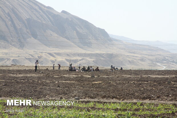 ندای لرستان