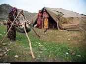 پرداخت ۴۵۰ میلیاردی تسهیلات به عشایر لرستان