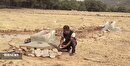 ایجاد ۱۲ آبشخور جدید تأمین آب حیات وحش در لرستان