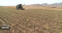 آغاز اجرای طرح مکانیزه کاشت نخود در دلفان