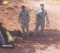دستگیری متخلفان زنده گیری پرندگان زینتی در دلفان