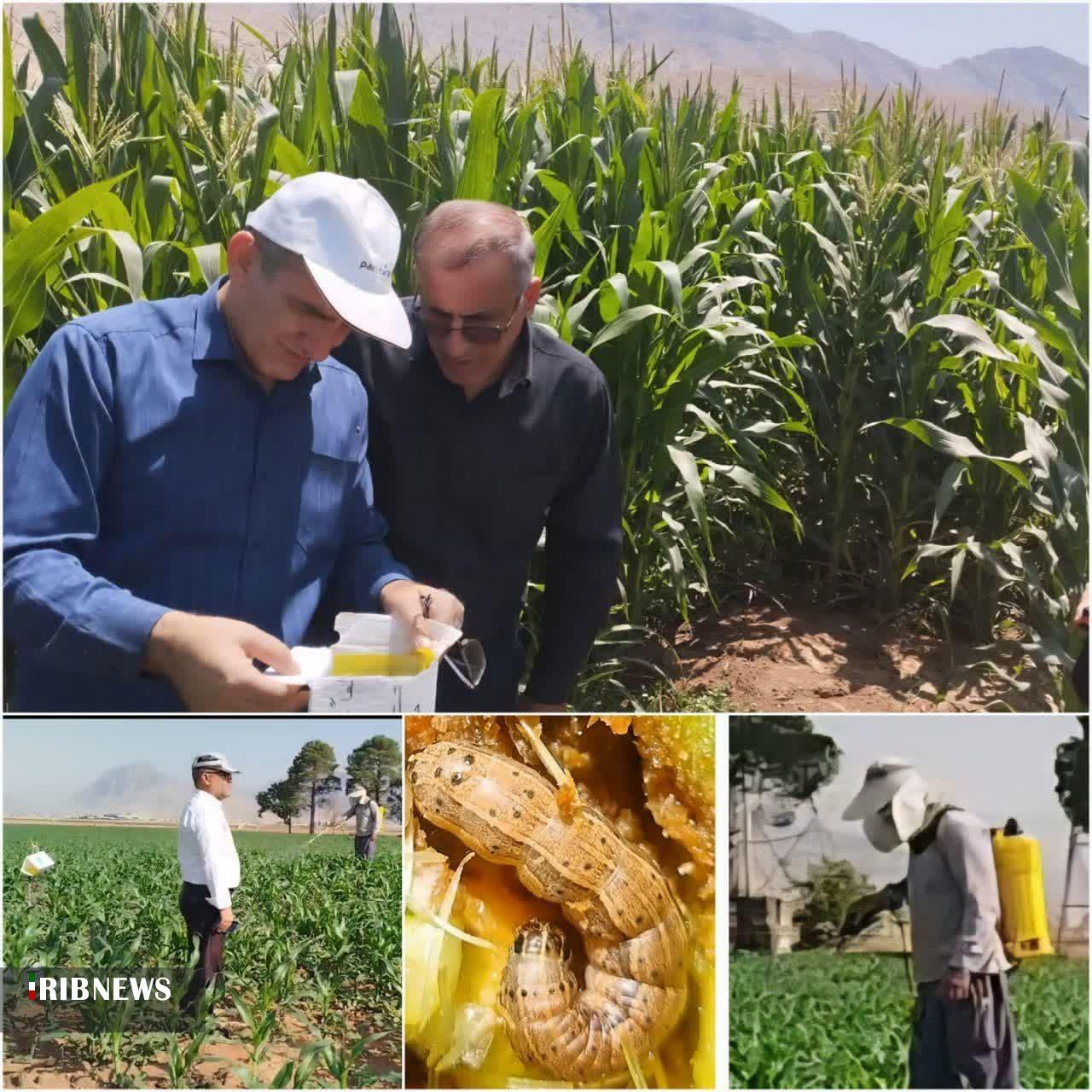 ندای لرستان