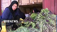 روایتی سبز از کارآفرینی بانوی لرستانی