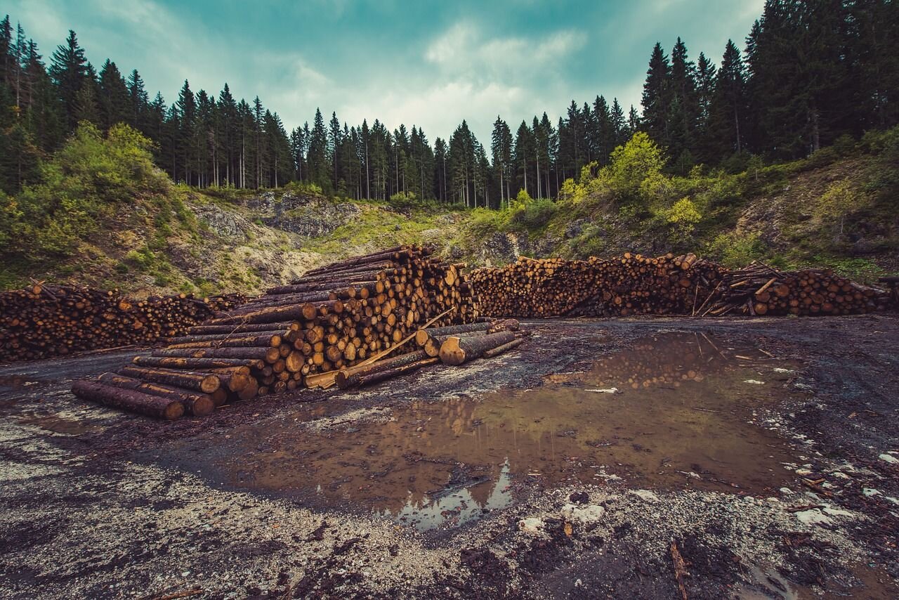 ندای لرستان