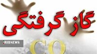 افزایش تلفات تصادفات و مسمومیت با گاز CO در لرستان